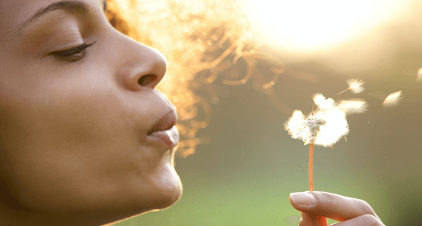 A Practical Resource Guide to Managing Your Summer Allergies