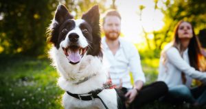 Are you allergic to your furry friend? Learn about functional medicine.