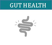 GUT HEALTH – GI-MAP Test
The GI-MAP targets “leaky gut” syndrome, and is an accurate, comprehensive stool analysis that allows practitioners to address gut dysfunction.
