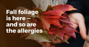 Fall allergy season in Rhode Island is upon us. And even though seasonal allergies happen year-round, fall is when ragweed pollen wreaks havoc on allergy sufferers throughout the Northeast (other common fall allergy culprits are mold and dust mites).